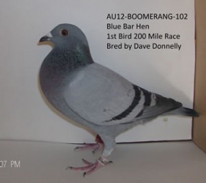 2012-200-mile-race_b