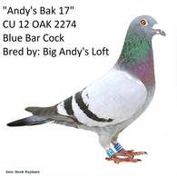Andy's Bak 17 Cock