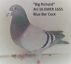 big-richard