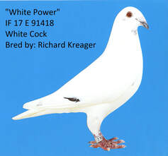 white-power